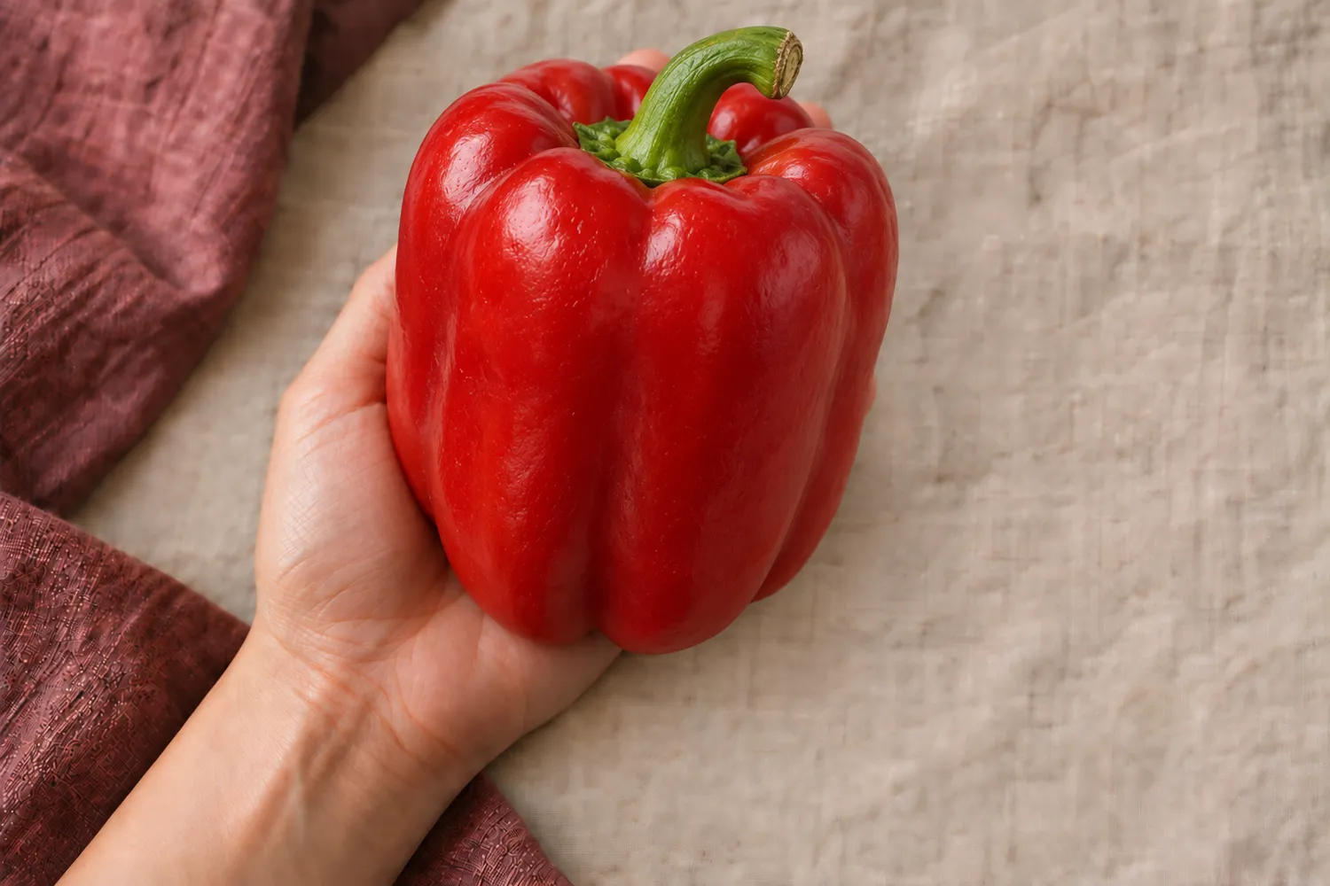 Eine einzelne rote Paprika liegt in einer offenen Handfläche auf beigem Leinen