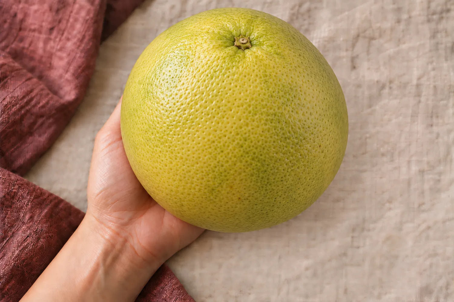 Een enkele grote pomelo ligt in een open handpalm op beige linnen