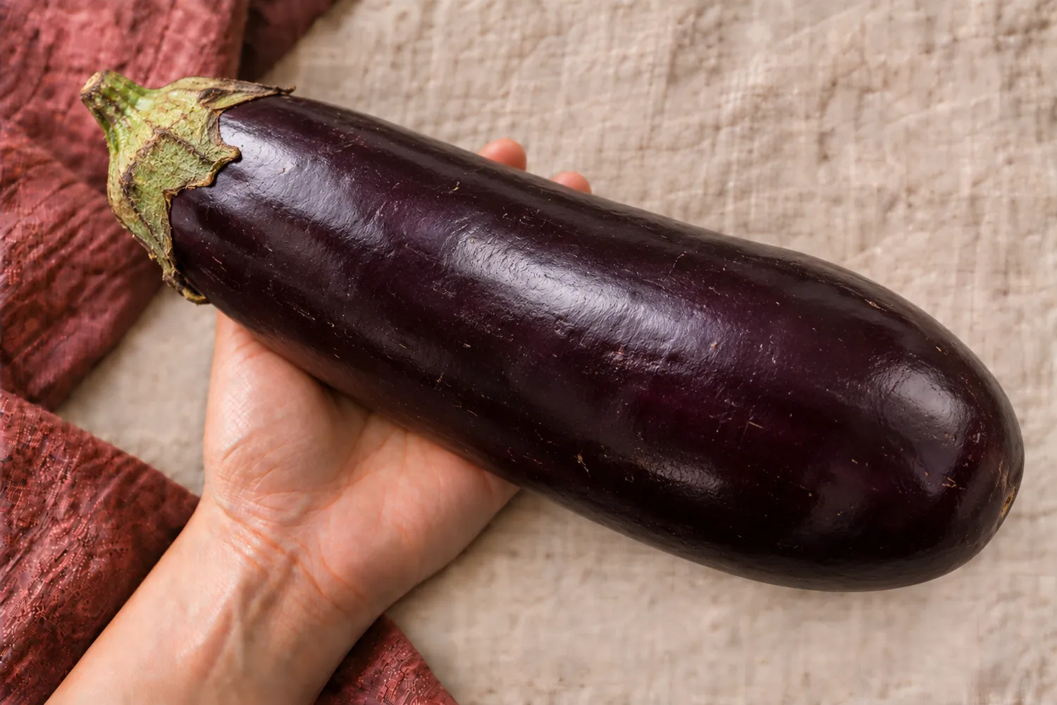 Een enkele grote aubergine ligt in een open handpalm op beige linnen