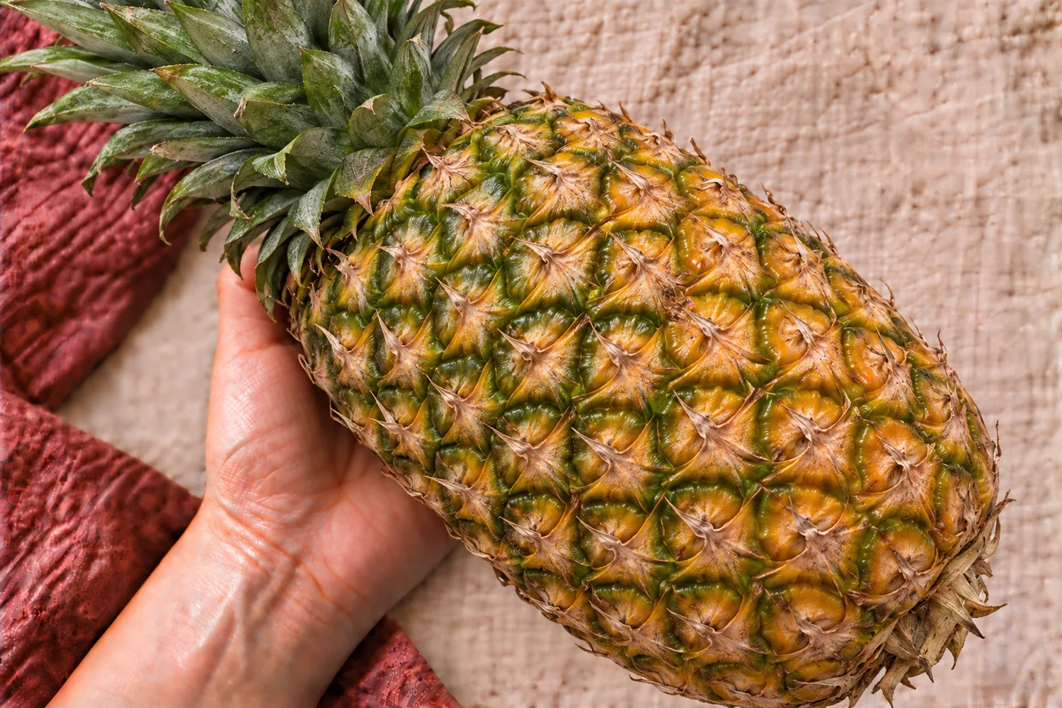 Een hele ananas met groene kroon ligt in een open handpalm op beige linnen