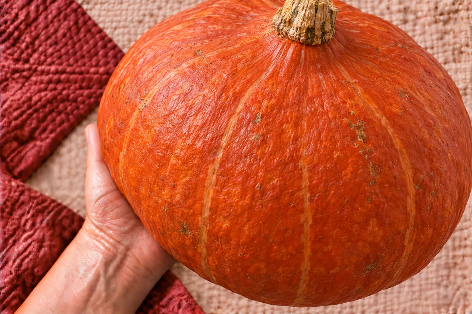 Een hele oranje hokkaidopompoen ligt op een open hand