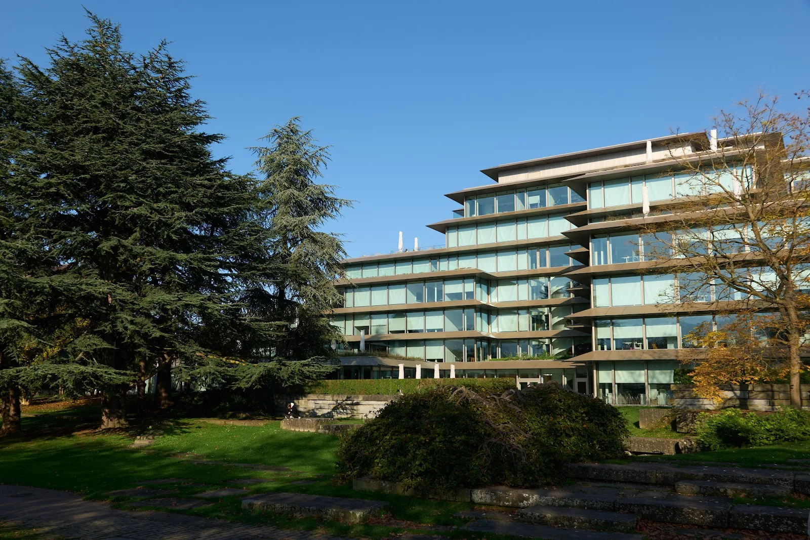 Cada Kinderwunschklinik Zürich | IVF & Social Freezing